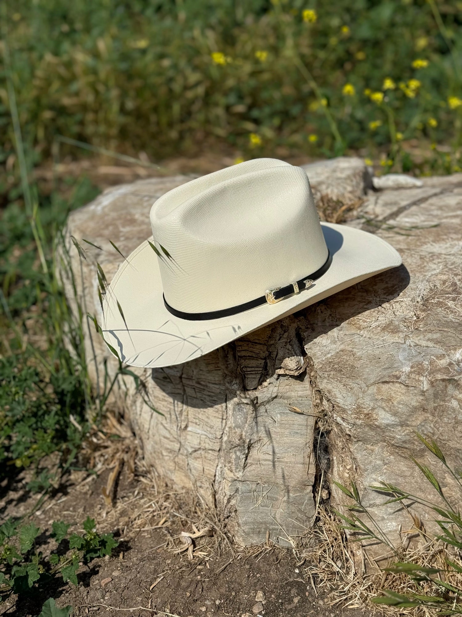 Straw Hats • Sombreros