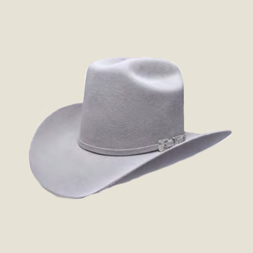 100X Felt Hat • Texana Patron